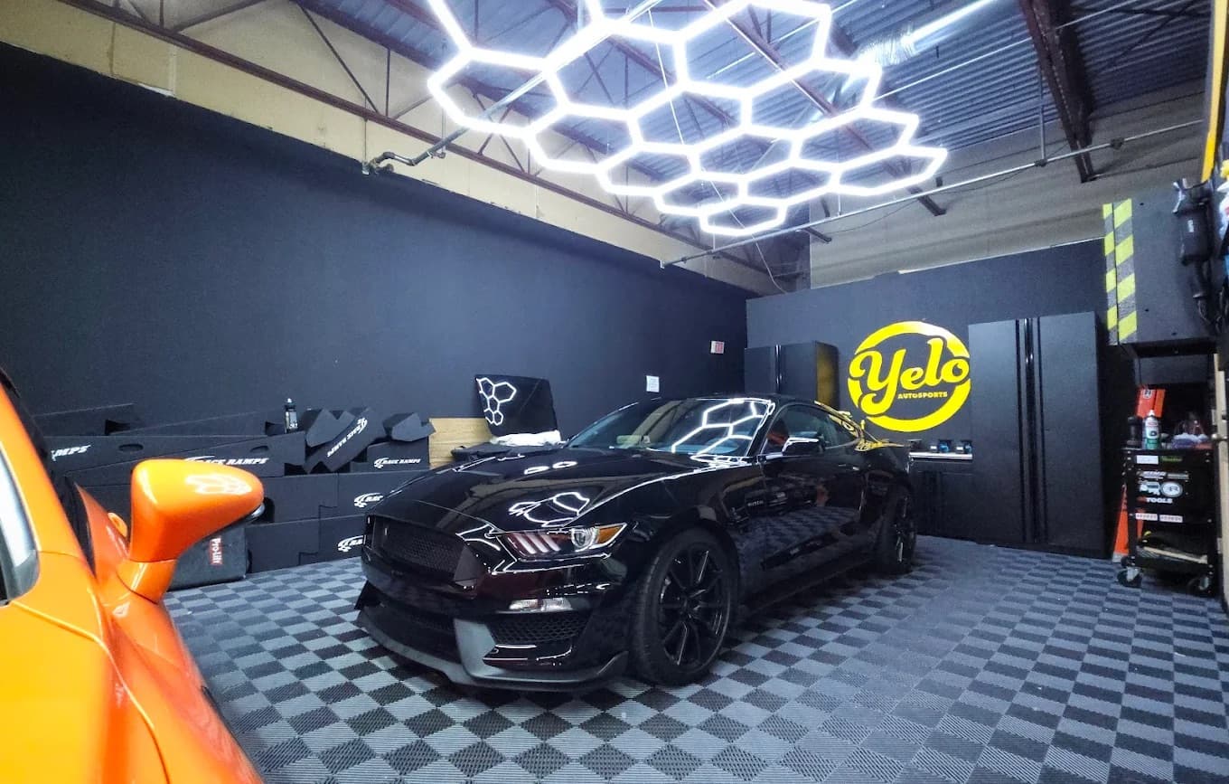 Shelby Mustang — Show-Car Polish